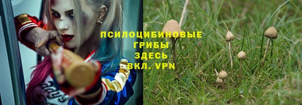 сатива Богданович