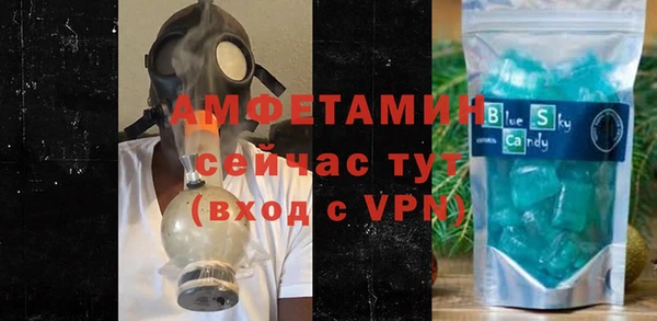 сатива Богданович